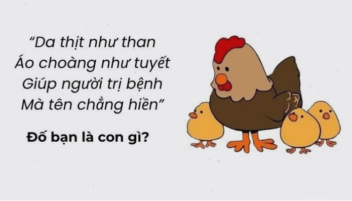 Câu đố vui trí tuệ siêu hack não