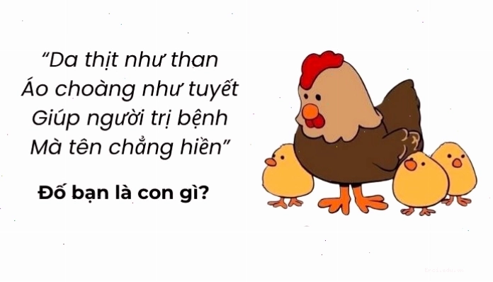 Câu đố vui trí tuệ siêu hack não