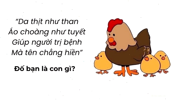 Câu hỏi mẹo đố vui hack não