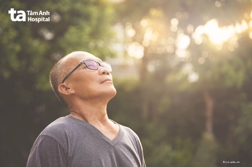 Cấu tạo mạng lưới các cơ quan và mô của hệ hô hấp