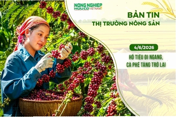Cấu trúc đất bị phá hủy do lạm dụng phân bón hóa học