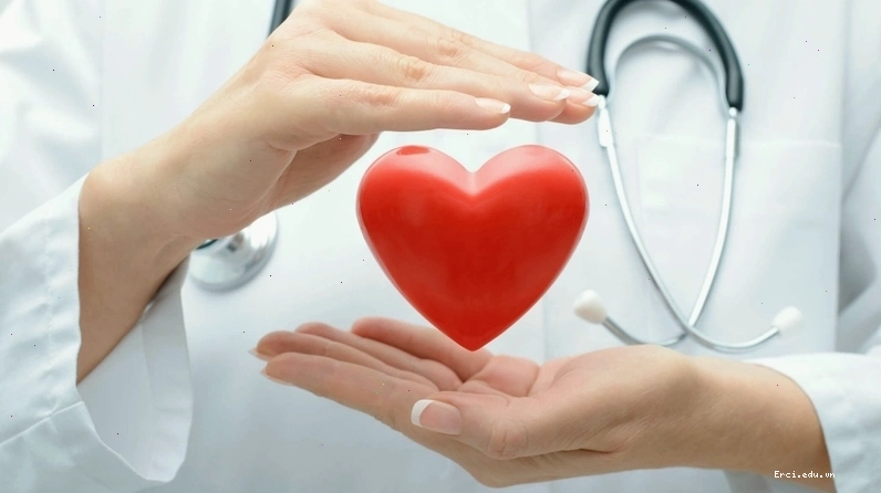 Cây dương xỉ mọc ở những nơi ẩm ướt, ven rừng