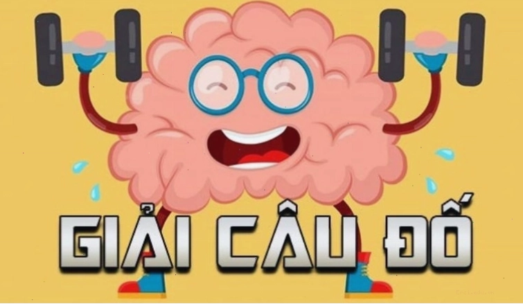 Cây hoa hồng với nhiều màu sắc