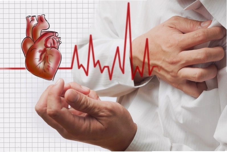 Cây mật nhân không thích hợp dùng cho người bị tim mạch nếu không tham khảo ý kiến chuyên gia