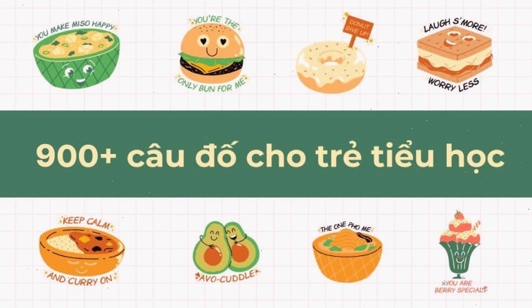 Cây phượng vĩ nở hoa đỏ rực