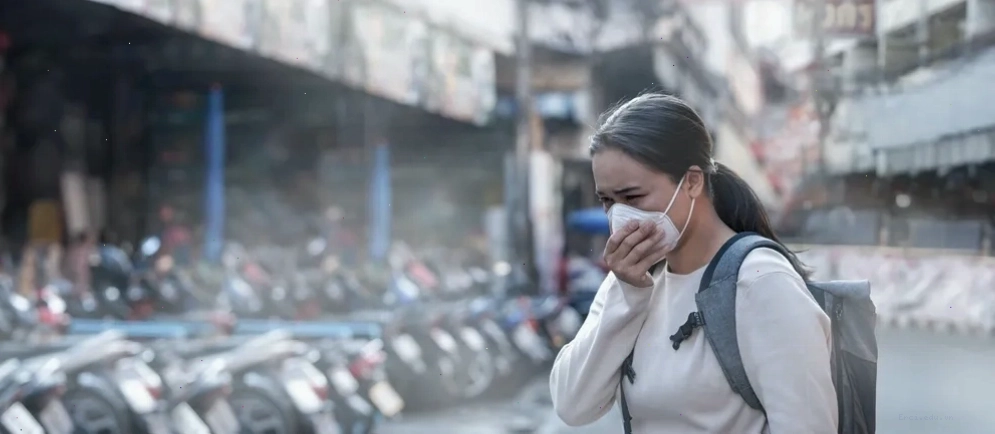 Cháy rừng là một trong những nguyên nhân gây ô nhiễm không khí nghiêm trọng