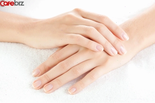 Chi tiết các đường chỉ tay và ý nghĩa trên bàn tay.