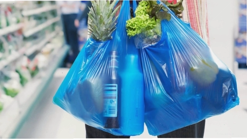 Chim biển mắc kẹt trong túi ni lông