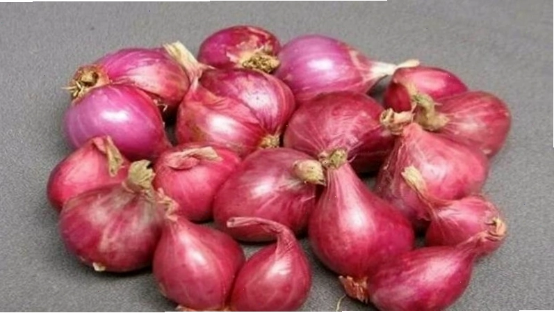 Chữa tắc tia sữa bằng hành tím