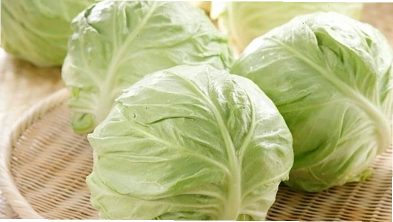 Chữa tắc tia sữa bằng lá bắp cải