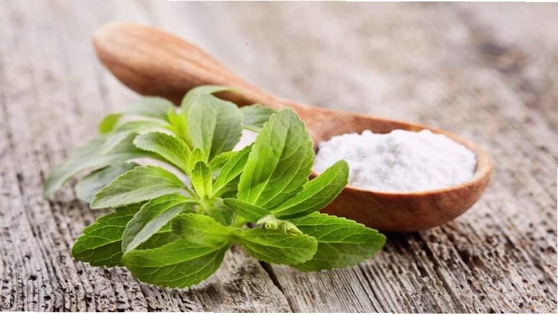 Cỏ ngọt là loại cây bụi có vị ngọt tự nhiên từ vùng Nam Mỹ