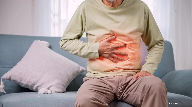 Cỏ ngọt mang lại nhiều lợi ích sức khỏe như hỗ trợ tiểu đường và giảm cân