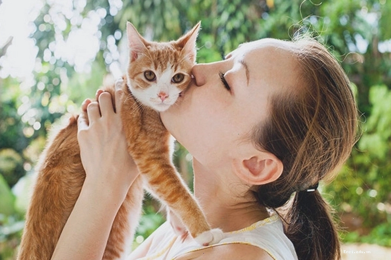 Con người có thể lây bệnh hắc lào từ mèo
