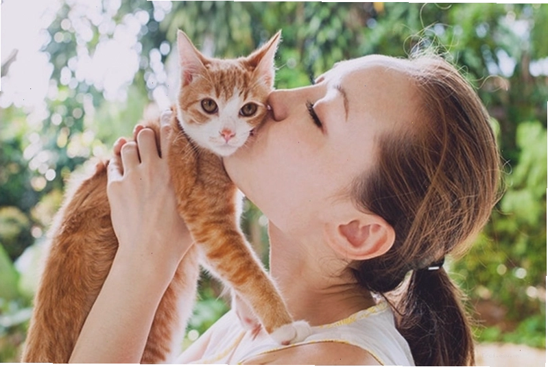 Con người cũng có thể bị nhiễm hắc lào từ mèo