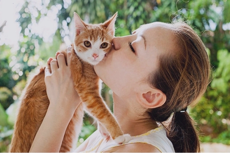 Con người cũng có thể lây hắc lào từ mèo và các động vật khác