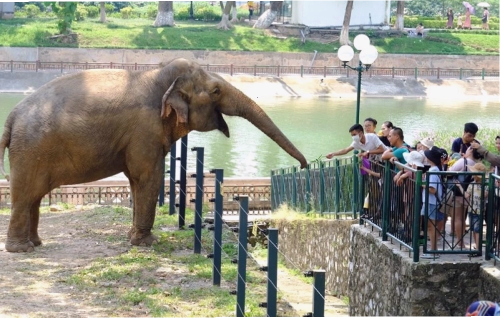 Công viên Thủ Lệ với nhiều loài động vật hoang dã