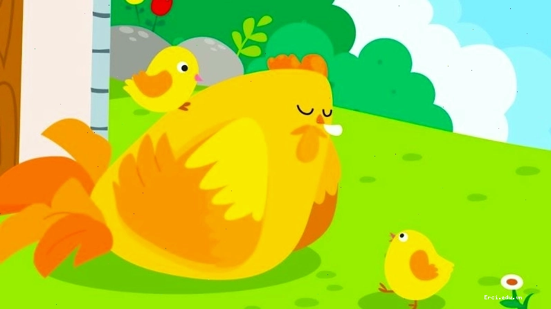 Đàn gà con quây quần bên gà mẹ