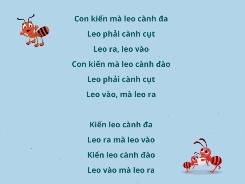 Đàn kiến cần mẫn tha mồi trên đường