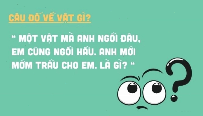 Danh sách các câu hỏi đố vui hay và hài hước