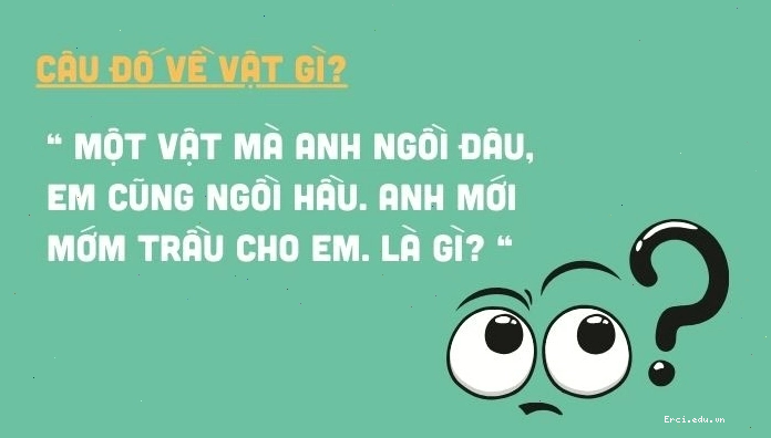 Danh sách những câu hỏi câu đố vui, đố mẹo hay và hài hước