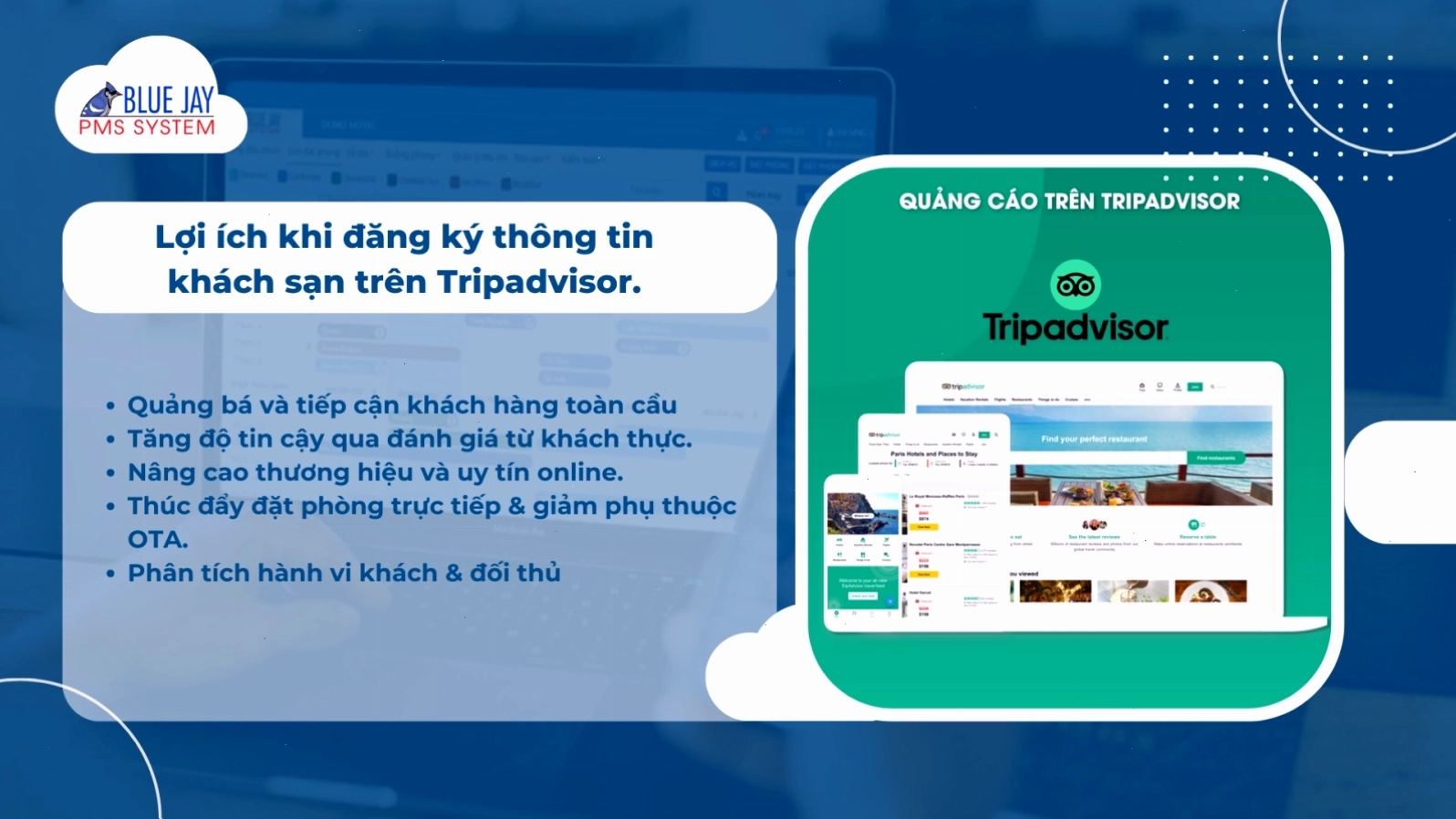 Đặt phòng khách sạn qua Tripadvisor