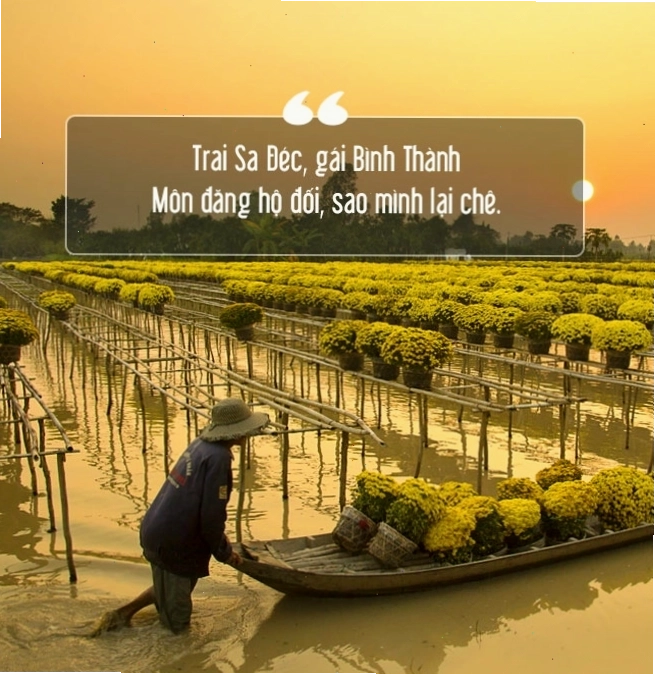 Đồng lúa chín vàng ở Đồng Tháp