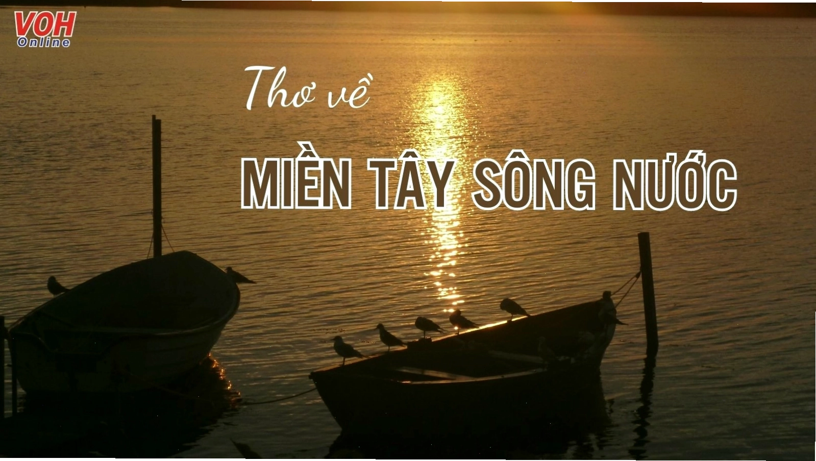 Dòng sông Đồng Tháp thơ mộng