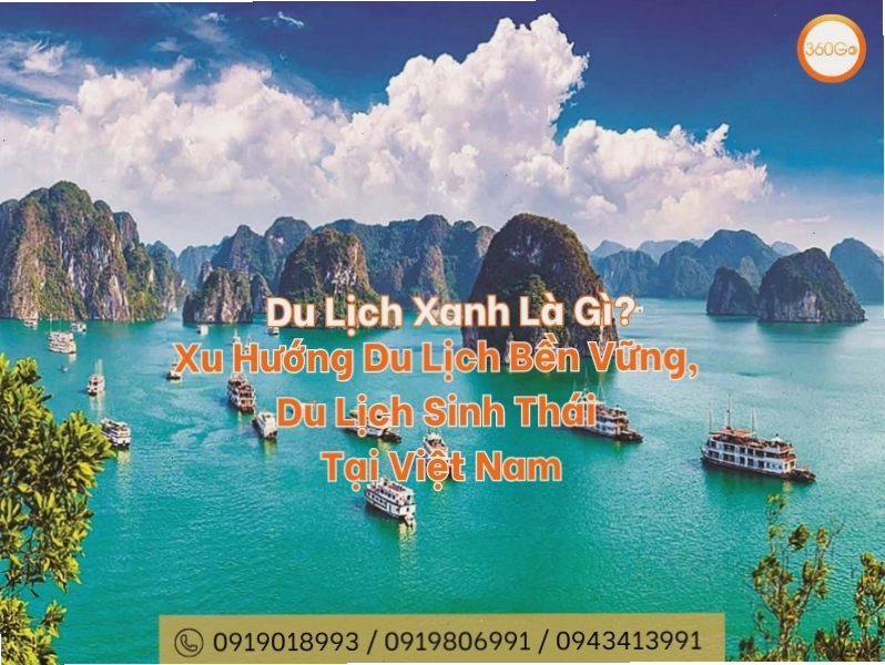 Du lịch xanh là gì? Khái niệm du lịch bền vững và sinh thái