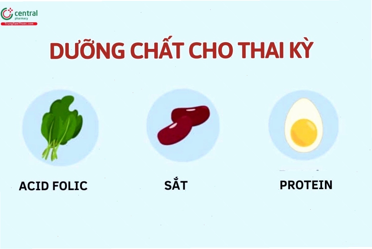 Dưỡng chất cần bổ sung trong 3 tháng đầu