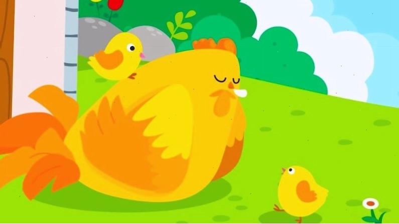 Gà con giúp mẹ