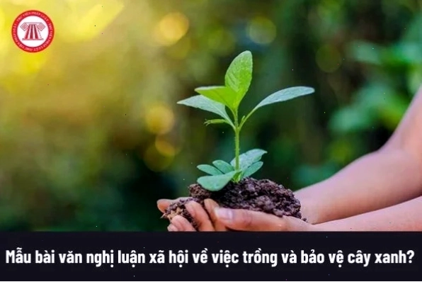 Gia đình sum vầy