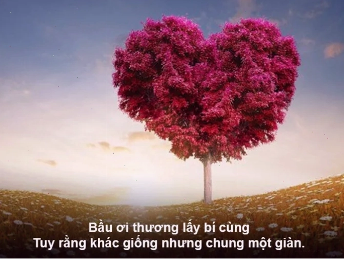 Giá trị của lòng nhân ái trong văn hóa Việt