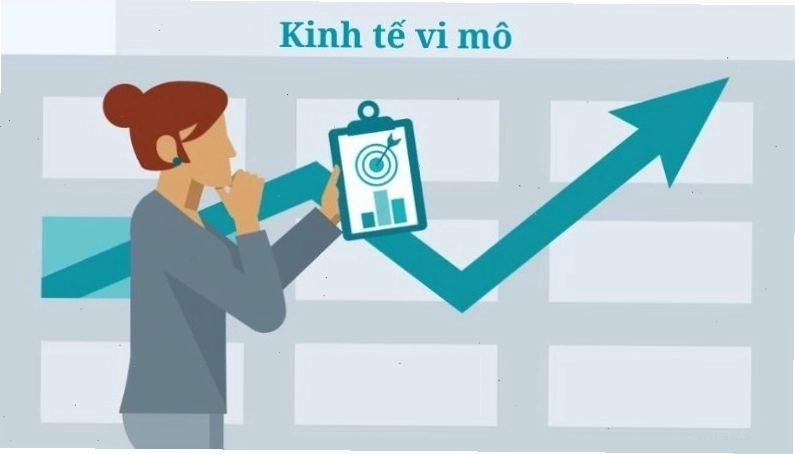 Giải thích khái niệm kinh tế vi mô và vai trò của nó