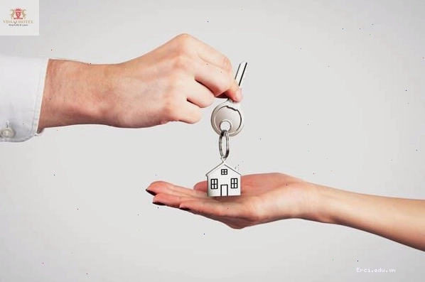 Giao diện ứng dụng Airbnb trên điện thoại