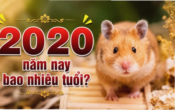 Giáo viên hướng dẫn trẻ chơi đồng dao