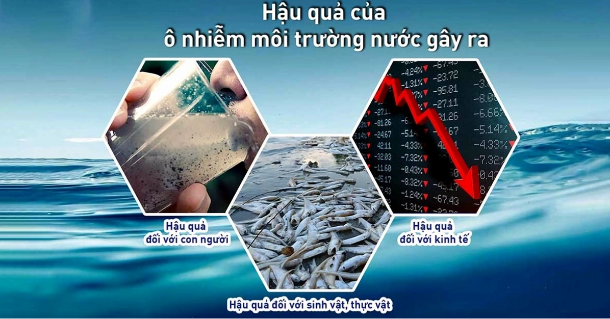 Hậu quả ô nhiễm môi trường nước đối với hệ sinh thái, các loài thủy sinh