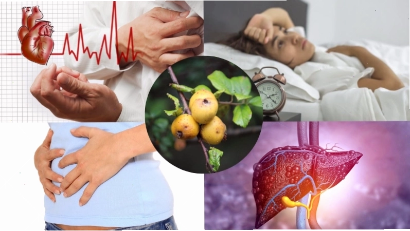 Hình ảnh các sản phẩm từ táo mèo như rượu, siro, trà