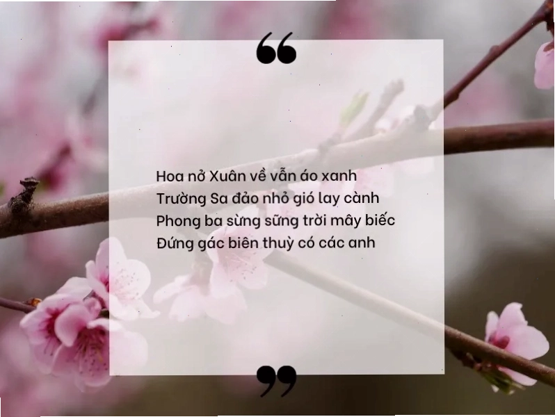 Hình ảnh chú bộ đội hải quân đứng gác trên tàu