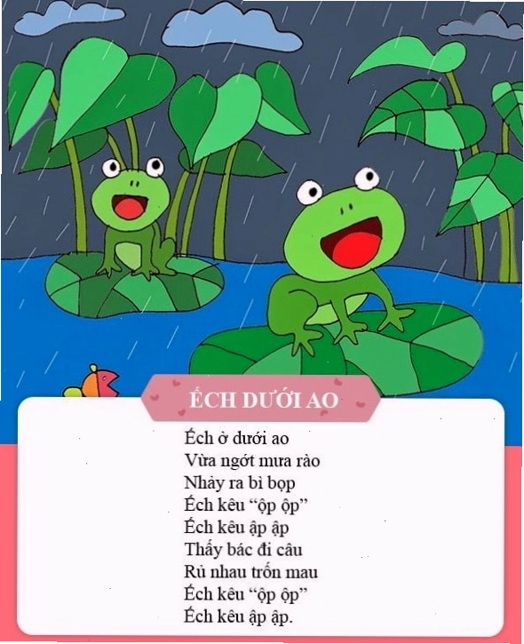 Hình ảnh chú ếch vui vẻ sau cơn mưa