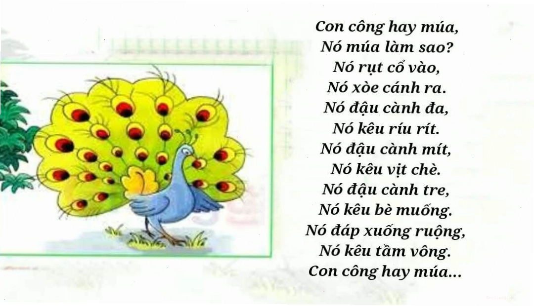 Hình ảnh con công đẹp mắt
