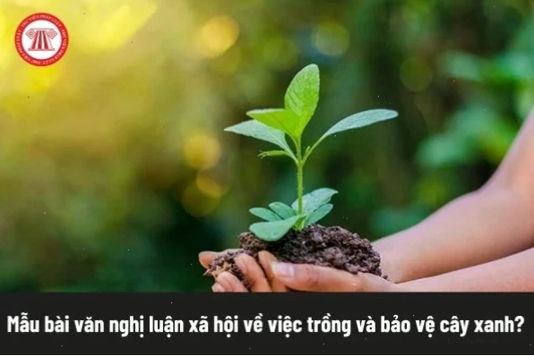 Hình ảnh gia đình sum họp, vui vẻ