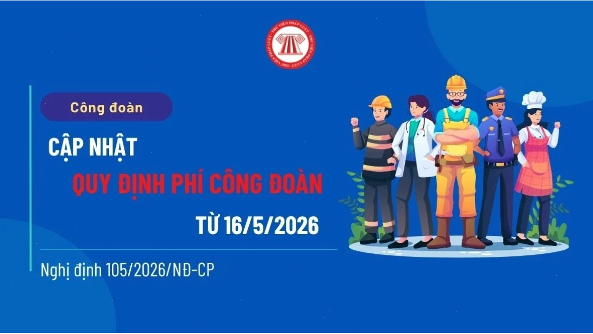 Hình ảnh minh họa các loại vạch kẻ đường