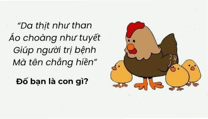 Hình ảnh minh họa người đang suy nghĩ về câu đố hack não
