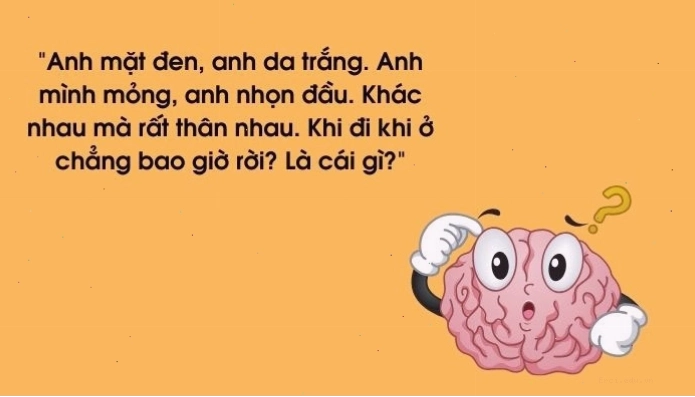 Hình ảnh minh họa sự đa dạng của các loại câu đố