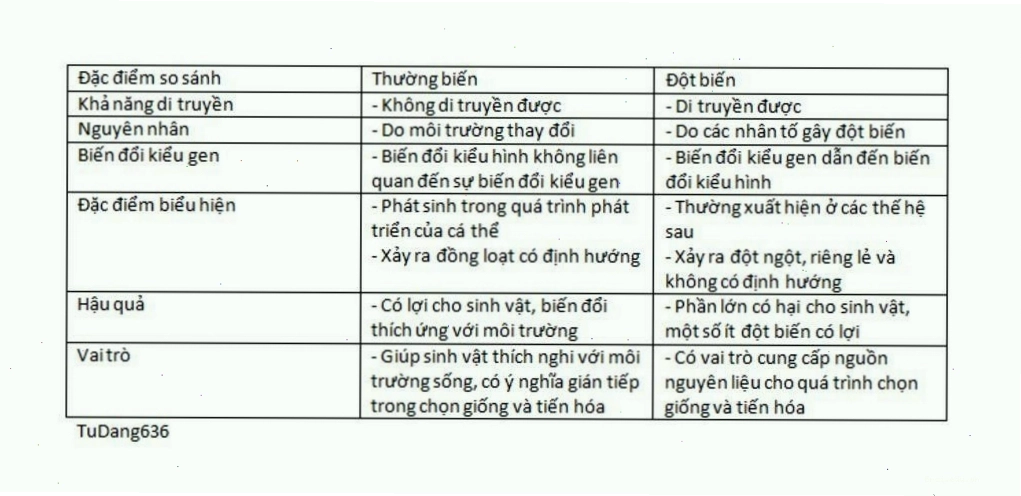 Hình ảnh minh họa sự khác biệt giữa thường biến và đột biến