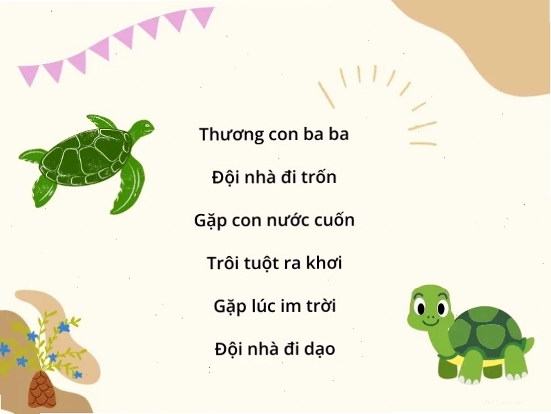 Hình ảnh minh họa về sự đa dạng của các loài vật dưới nước