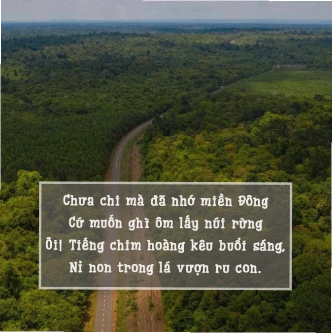 Hình ảnh người dân Đồng Nai đoàn kết xây dựng quê hương