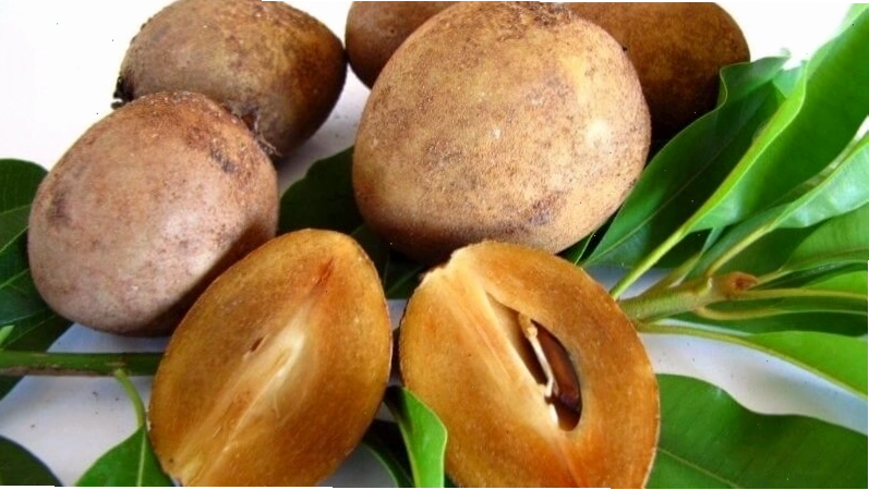 Hồng xiêm là loại trái cây nhiệt đới giàu dinh dưỡng