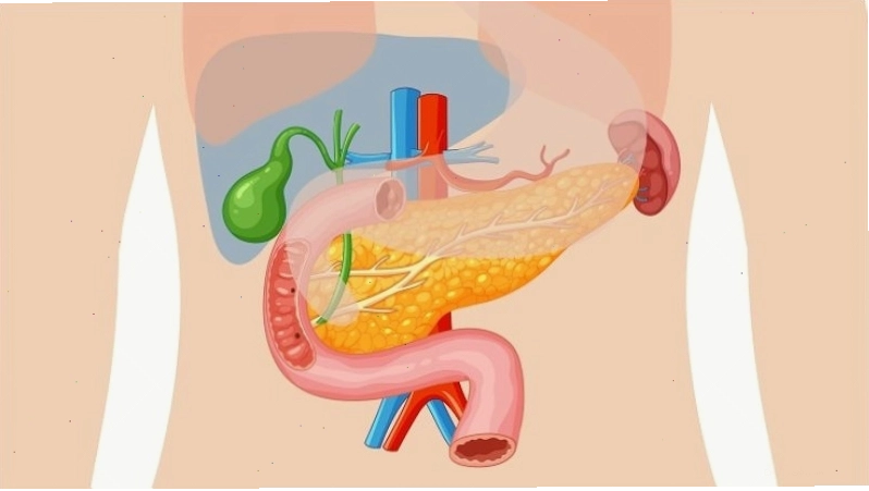 Kefir chứa hơn 50 loại lợi khuẩn probiotic giúp hỗ trợ tiêu hóa