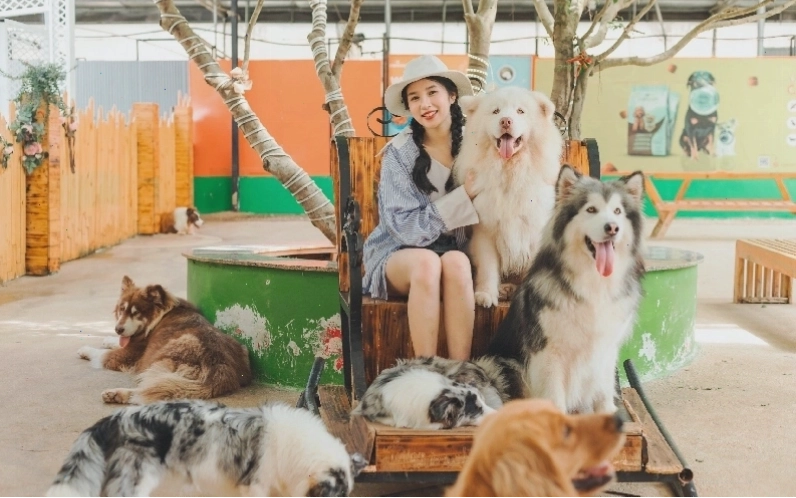 Khu vui chơi trẻ em ở Đà Lạt với nhiều trò chơi tương tác